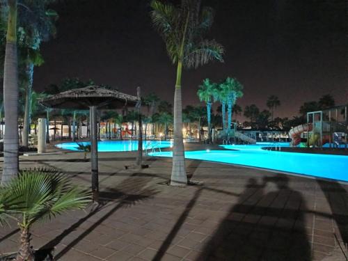 Apartamentos GALA
