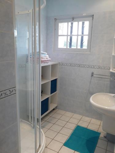une salle de bain avec douche et lavabo dans l'établissement Monpazier Country House in Périgord, à Gaugeac
