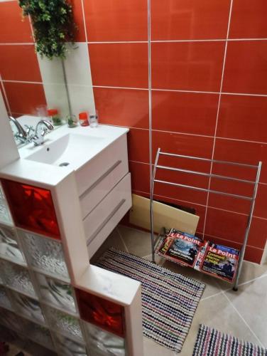 ein Badezimmer mit Waschbecken und Spiegel in der Unterkunft T-Syssy Loft, Marin direction Sainte Anne et routes des plages du SUD in Le Marin