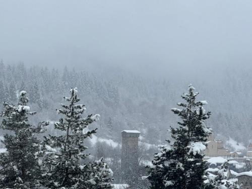 "White House Nakani" - Guesthouse near the centre durante el invierno
