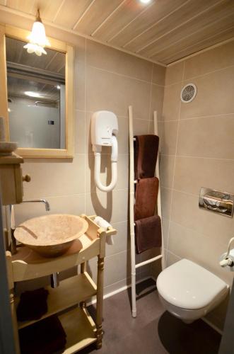 une salle de bain avec un lavabo et des toilettes dans l'établissement Chambre Seule avec Salle de bain privative - Le Moulin des Poètes, à Malauzat