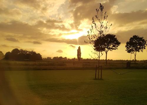 a sunset in a field with a tree at 't Nieuwe Nest in Kaatsheuvel