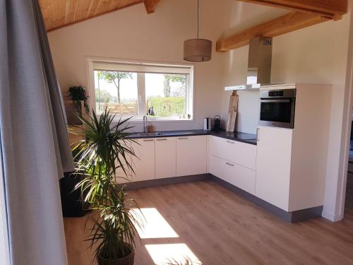 a kitchen with white cabinets and a window at 't Nieuwe Nest in Kaatsheuvel