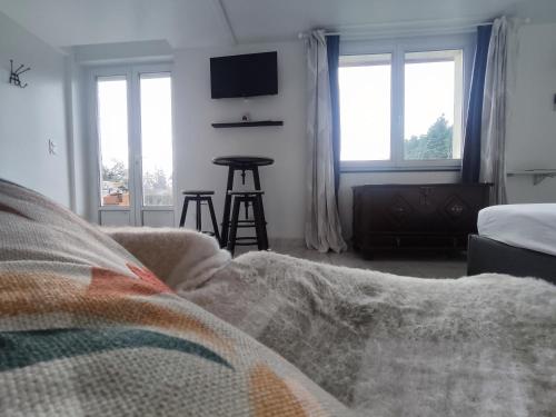 a bedroom with a bed and a table and windows at Le Magg in Feignies