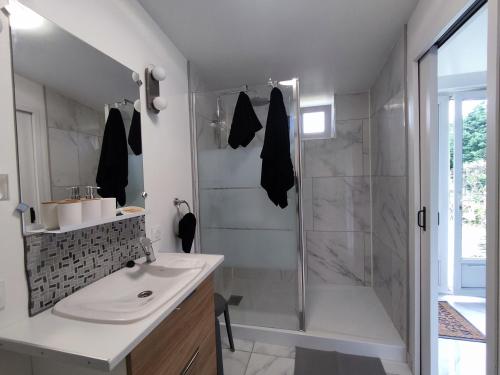 a bathroom with a shower and a sink at Le Magg in Feignies