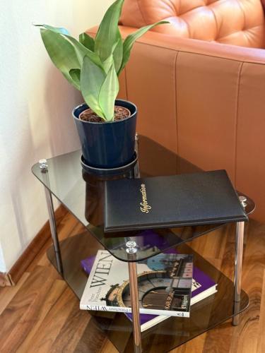 a potted plant sitting on a glass table at MALA Modern Vienna Flair Apartment Donaustadt in Vienna