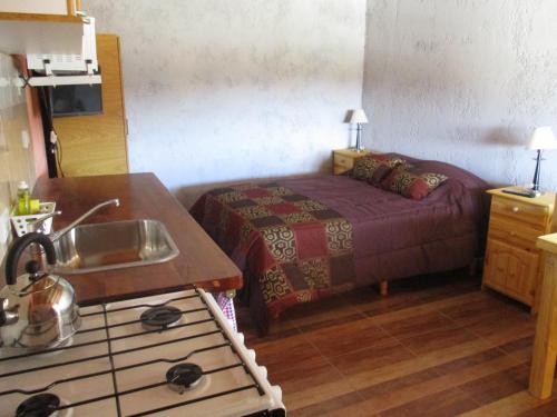 a kitchen with a bed and a sink in a room at Apart Hotel Curahue in Junín de los Andes