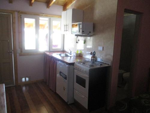 a small kitchen with a stove and a sink at Apart Hotel Curahue in Junín de los Andes