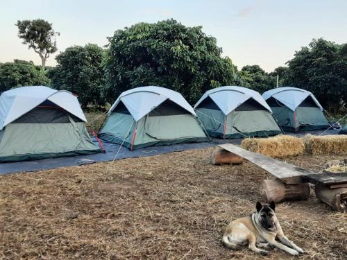 Φωτογραφία από το άλμπουμ του Natural camping σε Chiang Dao