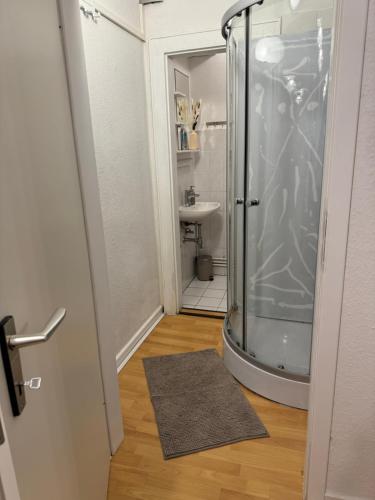 a bathroom with a shower and a sink at Downtown Chalet in Braunschweig in Braunschweig