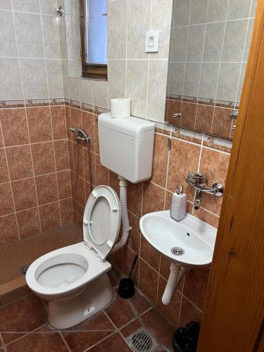 Koupelna v ubytování Nova Čubura