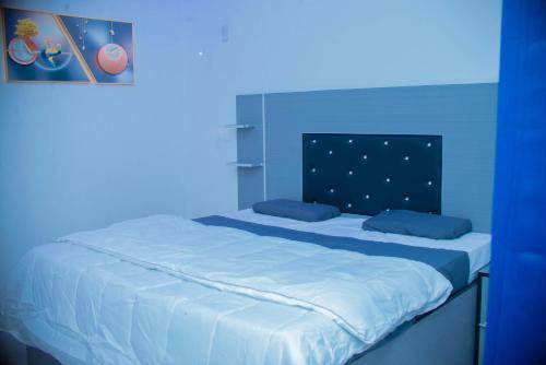 a blue room with a bed in a blue room at Résidence les Roniers de Thies in Thiès