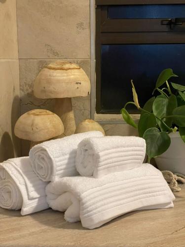 a pile of towels sitting on a table with mushrooms at MOS- Palmiet in Kleinmond