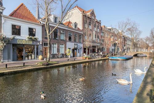 un fiume con cigni in una città con edifici di Studio aan de gracht a Delft
