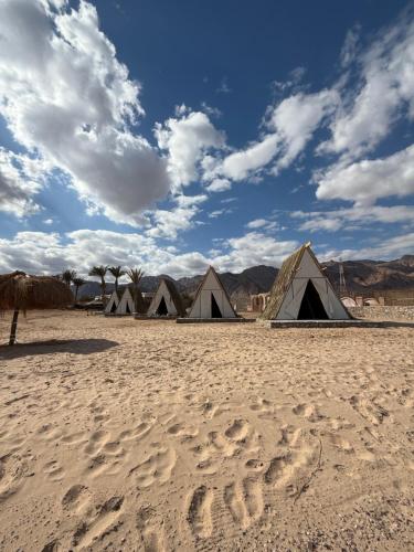 a group of tents on a sandy beach at Sukoon Nuweibaa in Nuweiba