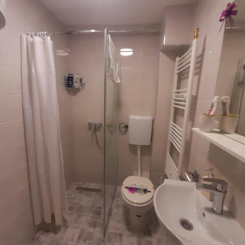 Gallery image of Apartman MiSSS in Pale