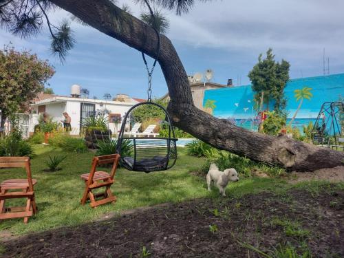 a tree that has fallen on a swing at Complejo PARAÍSO CHAPADMALAL in Chapadmalal