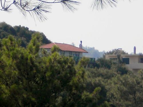 a house on top of a hill with trees at Alexandra Homestay in Kalavárda