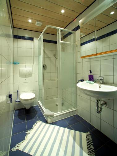 a bathroom with a shower toilet and a sink at Ferienwohnung-am-Kühl in Poppenhausen