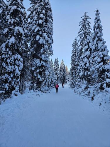 Panoramablick Exklusiv