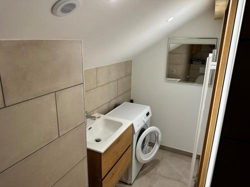 La petite salle de bains est pourvue d'un lavabo et d'un lave-linge. dans l'établissement Appartement, 20m du lac Conjux, vue lac, à Conjux