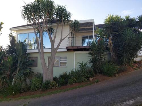 a house with a palm tree in front of it at EIGHT VILLA DE PORT iKamva in Port Alfred