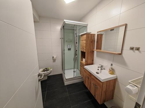 a bathroom with a shower and a sink and a toilet at Apartment E1 - Gut ausgestattete 3-Zimmerwohnung 68 qm für 1-5 Personen 2xZZ 1xSC in Gravenwerth