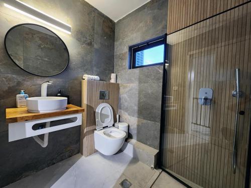 a bathroom with a toilet and a sink and a shower at דופלקס כנרת in Tiberias