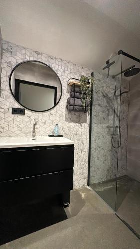 a bathroom with a sink and a mirror and a shower at Huisje over de IJssel in Zwolle