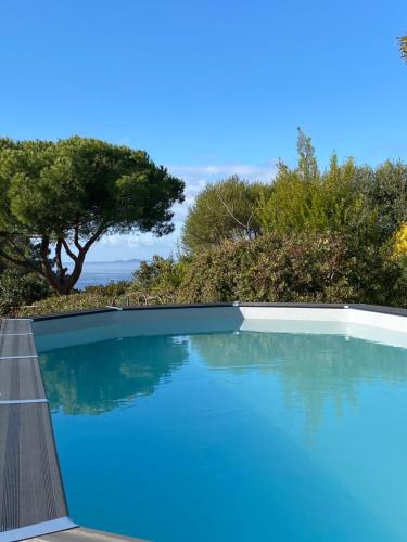 une piscine bleue avec des arbres en arrière-plan dans l'établissement Villa 180 m2 vue Mer Piscine Climatisée Grand jardin 5000 m2 cloturé Calme, à Porticcio