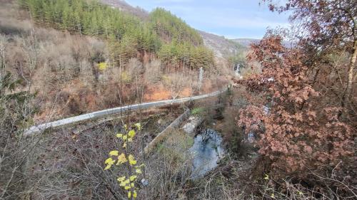 an aerial view of a river in a forest at Вивиан - модерна вила за гости in Reselets
