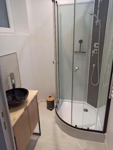 une salle de bain avec une douche en verre et un lavabo dans l'établissement Appartement 2 à 4 personnes proche de la mer, à Saint-Jean-le-Thomas