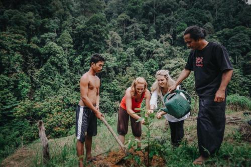 a group of people working in a field at Back to Nature Ecotourism in Bukit Lawang