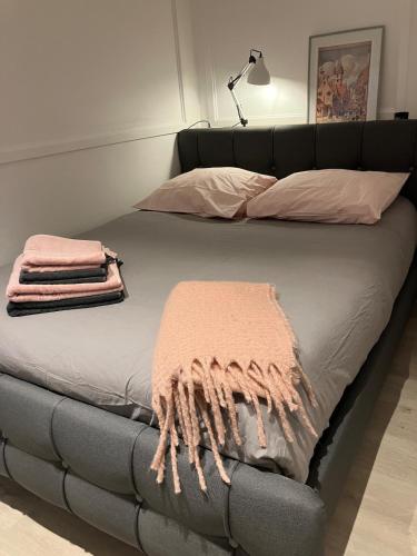 - un lit avec une couverture rose et une lampe dans l'établissement Lovely Mulhouse Apartment, à Mulhouse