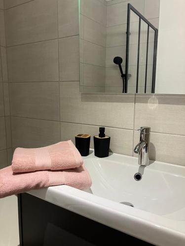 - un lavabo avec une serviette rose dans l'établissement Lovely Mulhouse Apartment, à Mulhouse