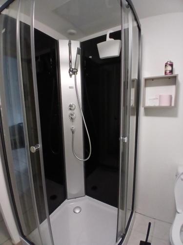 a shower with a glass door in a bathroom at Maison des Flandres in Oxelaere