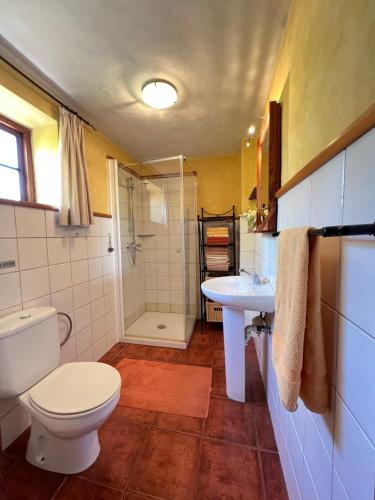 une salle de bain avec toilettes, lavabo et douche dans l'établissement Casa Barbara, à Puntagorda
