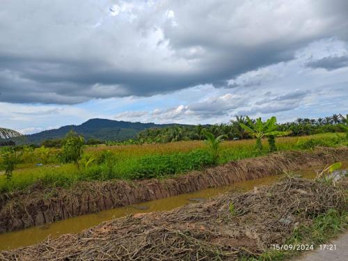 Φυσικό τοπίο κοντά σε αυτό το διαμέρισμα