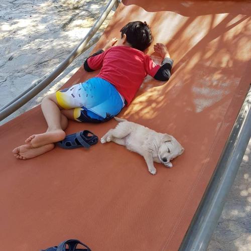 a child and a white dog laying on a raft at Villa iksir in Selcuk