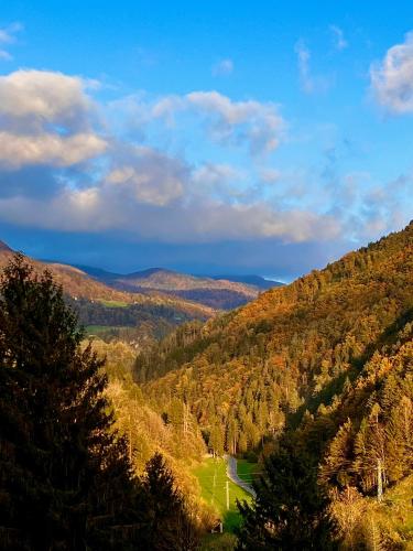 a view of a valley with trees and a lake at Zelena dolina in Cerkno