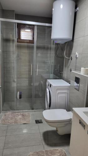 a bathroom with a shower and a toilet and a sink at NY Apartment, two bedrooms in Tivat