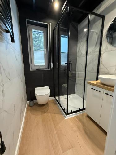 a bathroom with a toilet and a shower and a sink at Modernes Tiny Hotel in Hollenstedt in Appel