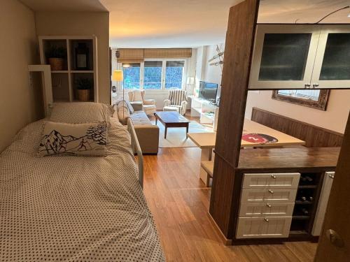 a bedroom with a bed and a living room at Baqueira1500, apartamento con vistas a pie de pistas in Naut Aran