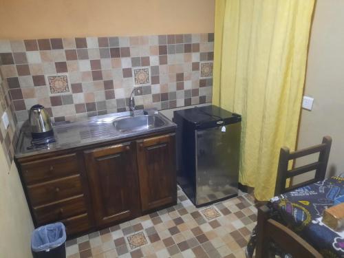 a kitchen with a sink and a dishwasher at La Posada de Dante in Puerto Iguazú