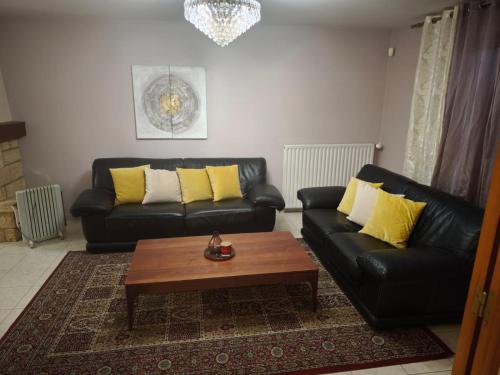 MAISON Aéroport CDG Parc des expos Villepinte Bourget Astérix