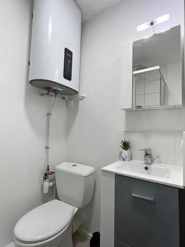 une salle de bain blanche avec des toilettes et un lavabo dans l'établissement Le nid du busca proche métro, à Toulouse