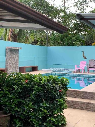 a pool with pink chairs and a blue wall at Casa Monos in Quepos