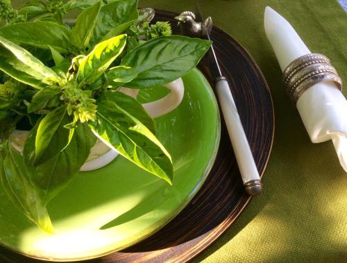 a green plate with a plant on a table at At Home In Maremma in Istia dʼOmbrone