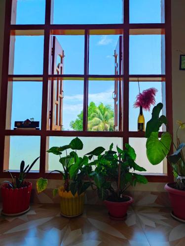 Κήπος έξω από το Serenity Inn