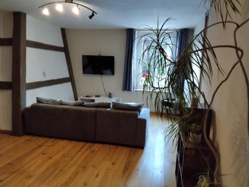 un salon avec un canapé et une télévision dans l'établissement Ferme de la Ribotte, à Plainfaing